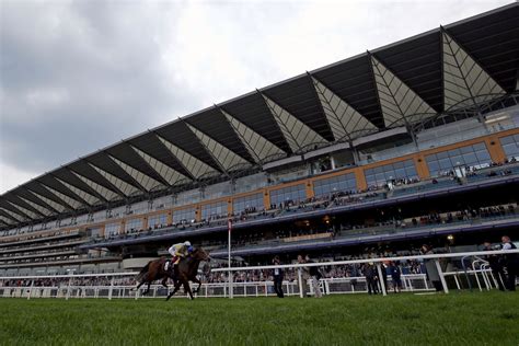 Royal ascot placepot  21 Oct 2023 - Dividend of £128